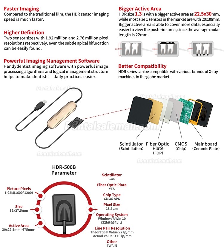 Handy High Resolution Digital USB Type Dental X Ray Sensor Rvg HDR-500B